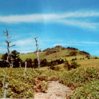 石鎚山系　　所在地　愛媛県西条市
