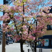 南砺市ドライヴ