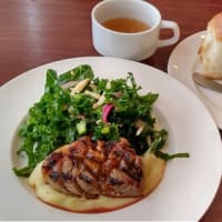 今日のおでかけ