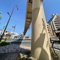 雨予報で予定変更