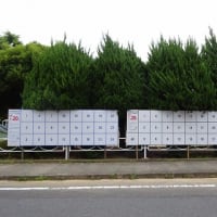 ７月は選挙の月