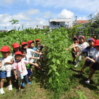 ☆園外保育☆