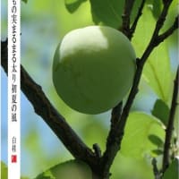 すもも