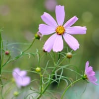 9月28日、相模原公園にて