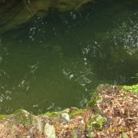 久々の山行、それは人生の縮図だった... Part 2