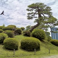 浜離宮恩賜庭園