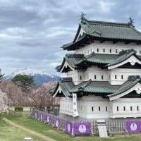 さくら咲く弘前城、と函館と、松前と、そして