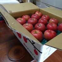 長野県高山村からリンゴが届いた