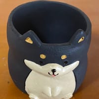 昨日は楽しい1日
