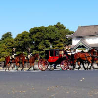 【信任状棒呈式】