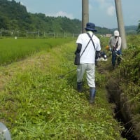 酷暑の中の共同草刈り