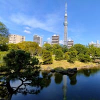 隅田公園