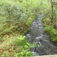 国営アルプスあづみの公園