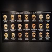 博物館浴（国立科学博物館「古代DNA　ー日本人のきた道ー」）