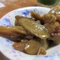 17回目の甲府ひとり旅～その2　二次会は～毎度の「くさ笛」
