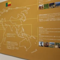＜大阪・関西万博＞ 各パビリオンの見どころ57-ベナン・セントルシア