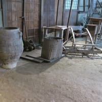 加茂花菖蒲園のちまき(粽)とアジサイ
