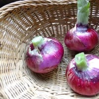 赤玉ねぎ