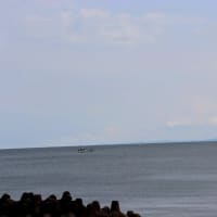 伊勢志摩（９８）打越浜
