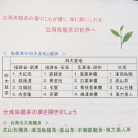 台湾烏龍茶の試飲