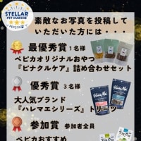 ステラほしぞら写真コンテスト開催🌟