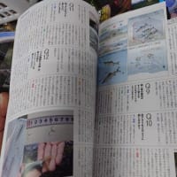 鮎雑誌！入荷！アユ釣りマガジン&鮎釣り2024
