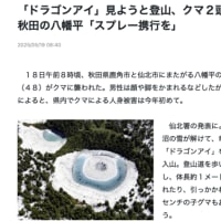 ねえ、クマさん！