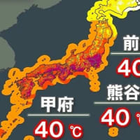 暑いから水遊び