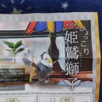幻獣増えました