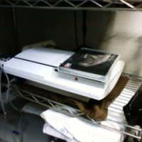 ついに…