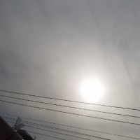 やっぱり…