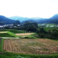 兵庫県・新温泉町の「切畑の棚田」