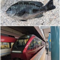6月中旬のアラカルト 🎣 🚊追伸です