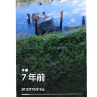 思い出・？