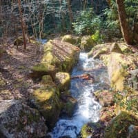 付知峡