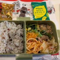 今日の高校生弁当＆昨日の晩御飯