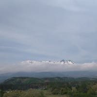 薄日が差してます
