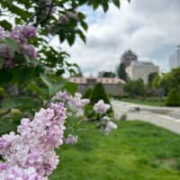 双子座の新月