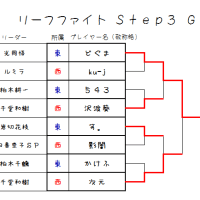 リーフファイトSTEP3 GP Final in 滋賀　大会結果