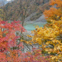 大井川　静岡県　2024年11月16日