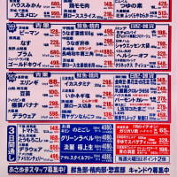 第53回八丈島夏まつり＊週末特売チラシ