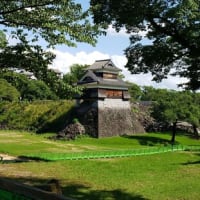復興途中の熊本城　宇土櫓