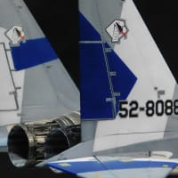 ピットロード 1/48 F-15DJ (完成)