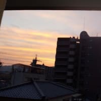 2025年6月21日（土）晴。