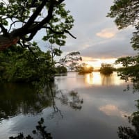 6月の北海道
