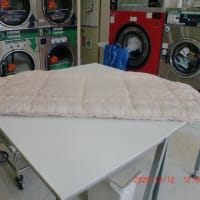 ＜2024年 1月予定＞ 敷布団や掛布団の洗濯乾燥の詳細