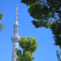 東京スカイツリータウン散策