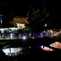 西寒多神社のライトアップ