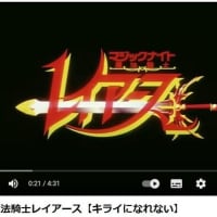 還暦越え爺のアニメ好き　魔法騎士レイアース　１