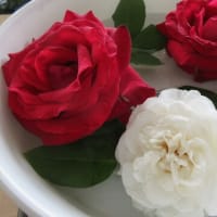 梅雨入り＆人間ドックへ